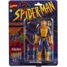 Marvel F3696 Legends Series Spider-Man 15 cm Hobgoblin Action Figure Include 3 Accessori Glider Pumpkin Bomb Satchel