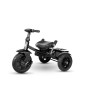 Triciclo Passeggino Premium QPlay con Sedile Girevole e reclinabile 6 in 1 Limited edition