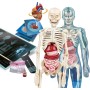 Clementoni 19299 Lab Super-Laboratorio Anatomia Esperimenti Scienza Made in Italy
