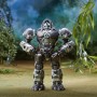 Hasbro F4611 Transformers Film Risveglio Beast Alliance Beast Weaponizers 2 action Figure Optimus Primal e ArrowStripe 13cm