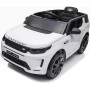 Auto Macchina Elettrica per Bambini 12V Land Rover Range Rover Discovery Sport con Sedile in Pelle Telecomando