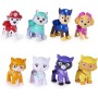 SpinMaster 6065575 Paw Patrol Confezione Paw Patrol & Cat Pack con 8 personaggi