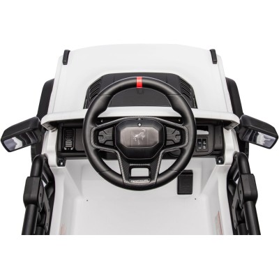 Auto Macchina Elettrica per Bambini 12V Baby Ford Bronco Raptor con Telecomando
