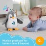 Fisher-Price HNC10 Pinguino Dolci Coccole peluche sensoriale con musica e ali che si muovono per il gioco interattivo