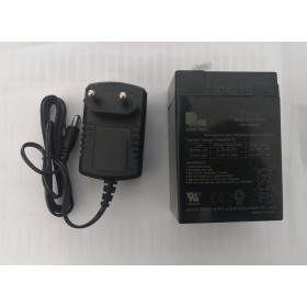 Kit Batteria 12V 3,5Ah + Caricabatterie 12V Honda CBR 1000