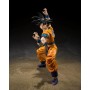 Bandai 2764090 TAMASHII NATIONS Dragon Ball Super Son Goku Super Hero Fig 14 cm SH Figuarts Re-Run
