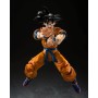 Bandai 2764090 TAMASHII NATIONS Dragon Ball Super Son Goku Super Hero Fig 14 cm SH Figuarts Re-Run