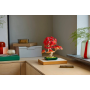 Lego Botanicals 10348 Bonsai di acero rosso giapponese