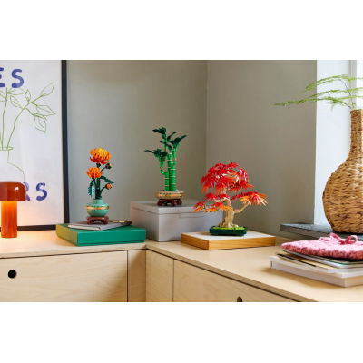 Lego Botanicals 10348 Bonsai di acero rosso giapponese