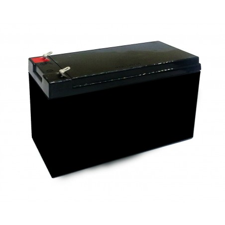Kit 2 Batterie 12V 7Ah Ricaricabile al Piombo Sigillata 24V MAXI BUGGY