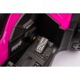 Can-Am Renegade 24V Quad Elettrico per Bambini a 2 Posti ATV con Ruote in Gomma 4 Motori Cinture di Sicurezza