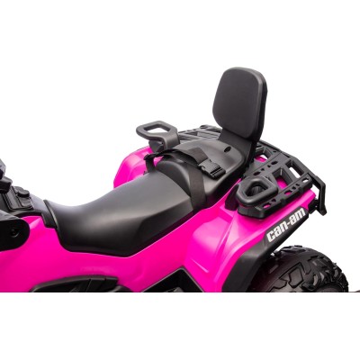 Can-Am Renegade 24V Quad Elettrico per Bambini a 2 Posti ATV con Ruote in Gomma 4 Motori Cinture di Sicurezza