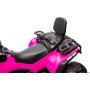 Can-Am Renegade 24V Quad Elettrico per Bambini a 2 Posti ATV con Ruote in Gomma 4 Motori Cinture di Sicurezza