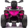 Can-Am Renegade 24V Quad Elettrico per Bambini a 2 Posti ATV con Ruote in Gomma 4 Motori Cinture di Sicurezza