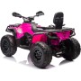 Can-Am Renegade 24V Quad Elettrico per Bambini a 2 Posti ATV con Ruote in Gomma 4 Motori Cinture di Sicurezza