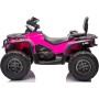Can-Am Renegade 24V Quad Elettrico per Bambini a 2 Posti ATV con Ruote in Gomma 4 Motori Cinture di Sicurezza
