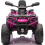 Can-Am Renegade 24V Quad Elettrico per Bambini a 2 Posti ATV con Ruote in Gomma 4 Motori Cinture di Sicurezza