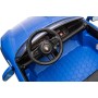 Auto Elettrica Porsche Taycan 24V Macchina per Bambini 2 Posti Reali con Ruote in Gomma Telecomando