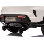 Auto Elettrica Porsche Taycan 24V Macchina per Bambini 2 Posti Reali con Ruote in Gomma Telecomando