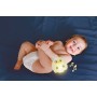 Clementoni 17499 Twinkle Twinkle Little Sheep Luce Notturna Pecorella con Luci e Suoni Rilassanti