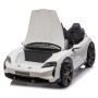 Auto Elettrica Porsche Taycan 24V Macchina per Bambini 2 Posti Reali con Ruote in Gomma Telecomando