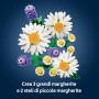 LEGO Botanicals 11508 Margherite - Bouquet di Fiori Artificiali con Margherite Finte e Lavanda