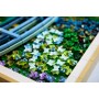 Lego Art 31220 Claude Monet - Lo stagno delle ninfee