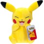 Rei Toys PK112600 Pokemon - Peluche Pikachu da 20cm