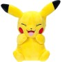Rei Toys PK112600 Pokemon - Peluche Pikachu da 20cm