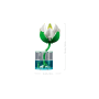 Lego Botanicals 11511 Ninfee Set di Piante Artificiali con Fiori Finti in 2 Vasi Trasparenti