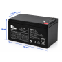 Mondial Toys Batteria al piombo ricaricabile alta capacita' da 12V 10Ah per veicoli elettrici per bambini