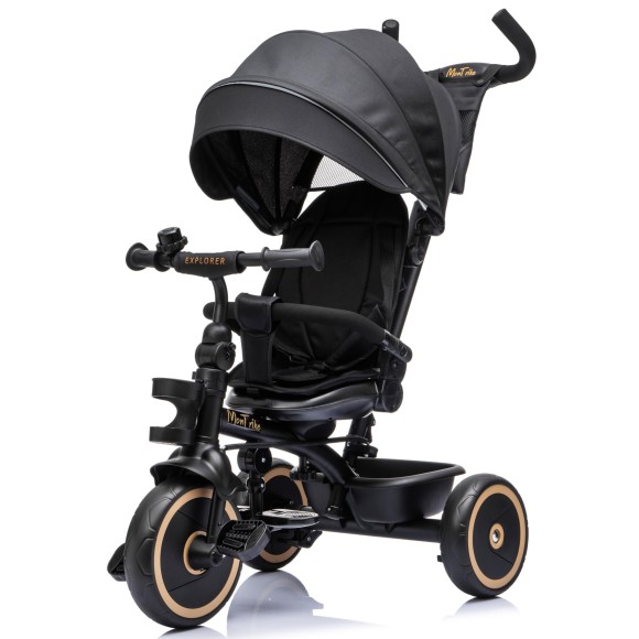 Triciclo per Bambini Evolutivo da 12 mesi a 5 anni Reclinabile 4 in 1 fino a 25 kg Sedile Girevole con Ruote in Gomma Eva